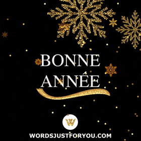 Bonne Année Gif - Happy New Year In French Gif