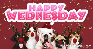 Happy Wednesday Image