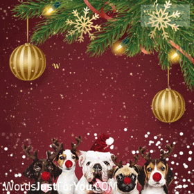 Cute Animated Merry Christmas Gif