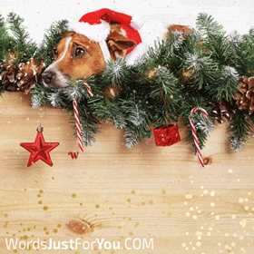 Cute Animated Merry Christmas Gif
