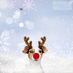 Cute Animated Merry Christmas Gif