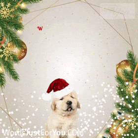 Cute Animated Merry Christmas Gif