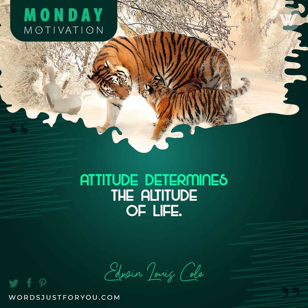 Monday Quote by Edwin Louis Cole - Monday Images
