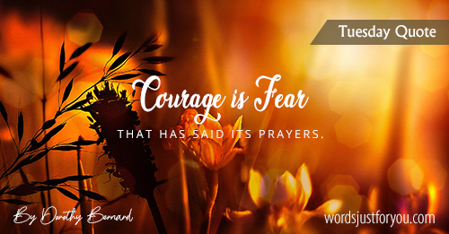 Tuesday Quote