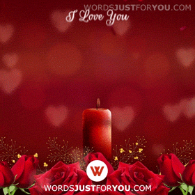 Happy Valentines Day Gif
