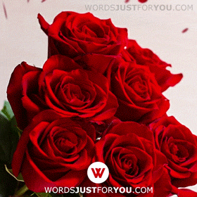 Happy Valentines Day Gif