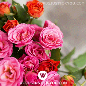 Happy Valentines Day Gif