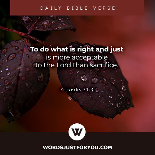 Daily Bible Verse