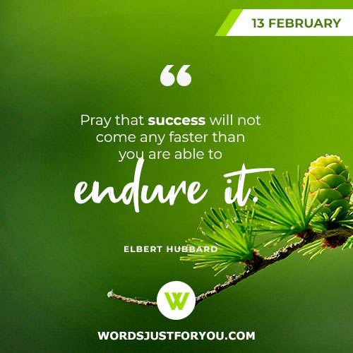 Daily Quotes