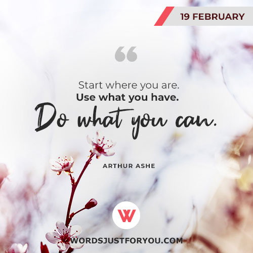 Daily Quotes