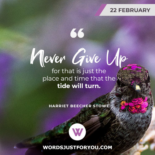 Daily Quotes
