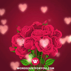 Feliz Cumpleaños Mi Amor Gif