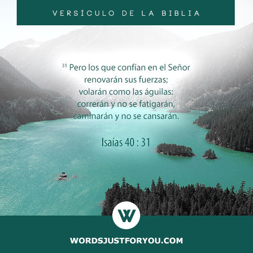 Versículos De La Biblia
