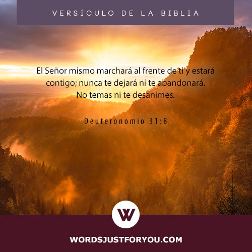 Versículos De La Biblia - 5795 4