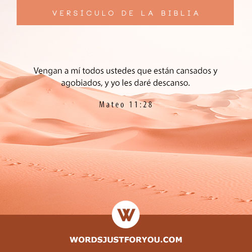 Versículos De La Biblia - 5795 6