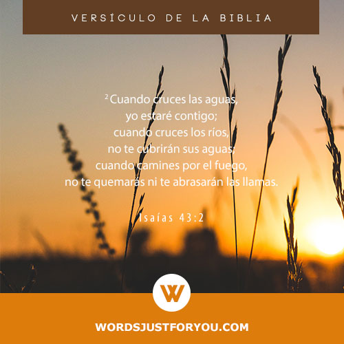 Versículos De La Biblia - 5795 2