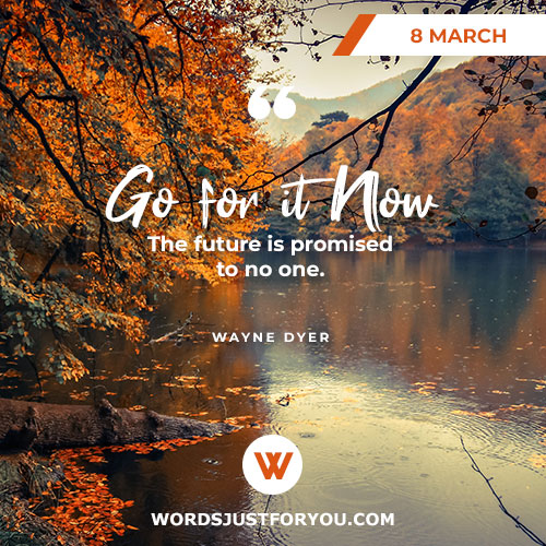 Daily Quote