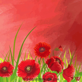 Anzac Day Gif