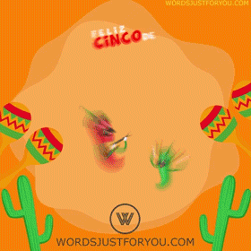 Feliz Cinco De Mayo Gif
