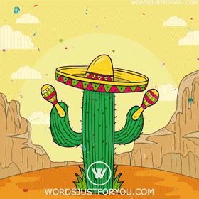 Happy Cinco De Mayo Gif