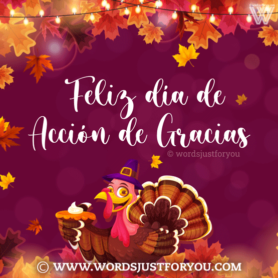 Feliz Día De Acción De Gracias Gif