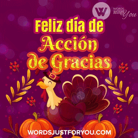 Feliz Día De Acción De Gracias Gif