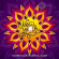Happy Diwali New Year Gif