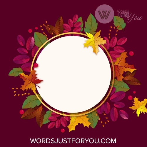 Happy Thanksgiving Gif - 6768 1
