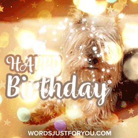 Happy Birthday Gif