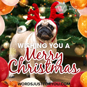 Cute Merry Christmas Gif