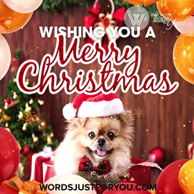 Cute Merry Christmas Gif