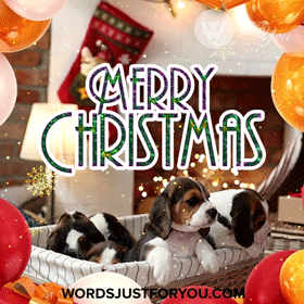 Cute Merry Christmas Gif
