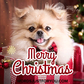 Cute Merry Christmas Gif