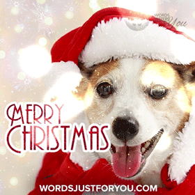 Cute Merry Christmas Gif