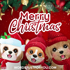 Merry Christmas Gif