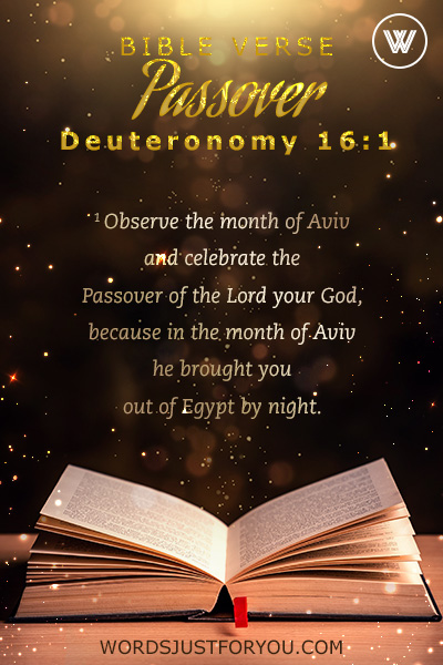 Bible Verse: Deuteronomy 16:1- Passover