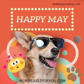Happy May Gif