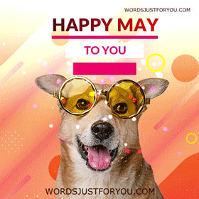 Happy May Gif