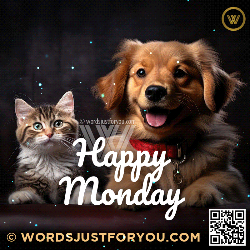 Beautiful Dog And Cat Happy Monday Gif New