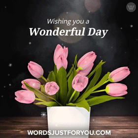 Wishing You A Wonderful Day Gif