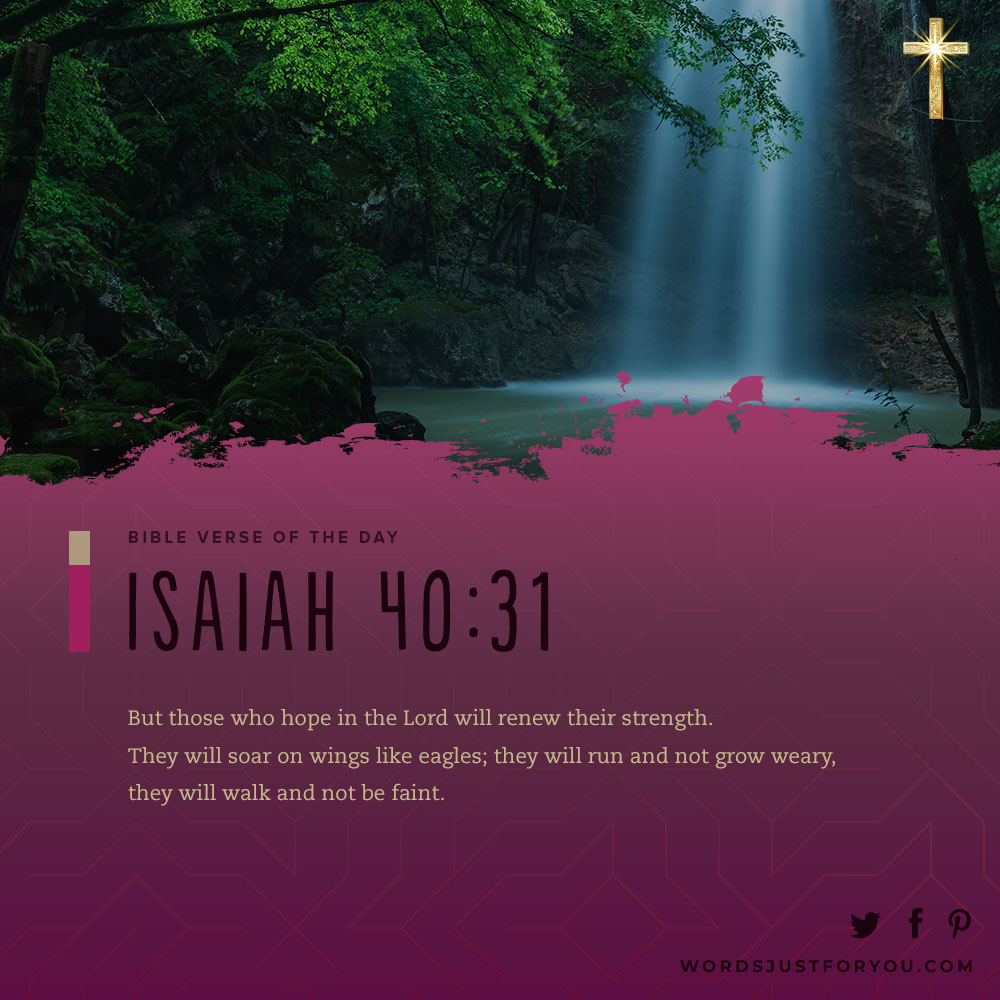 100+ Daily Bible Verses 13