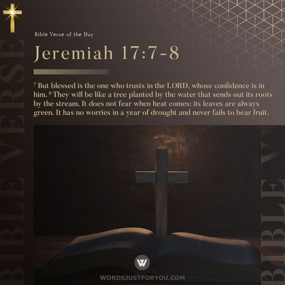 100+ Daily Bible Verses 11