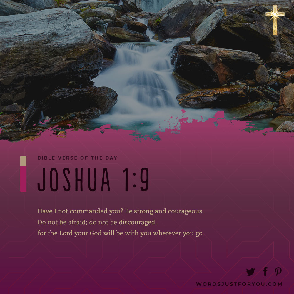 100+ Daily Bible Verses 14