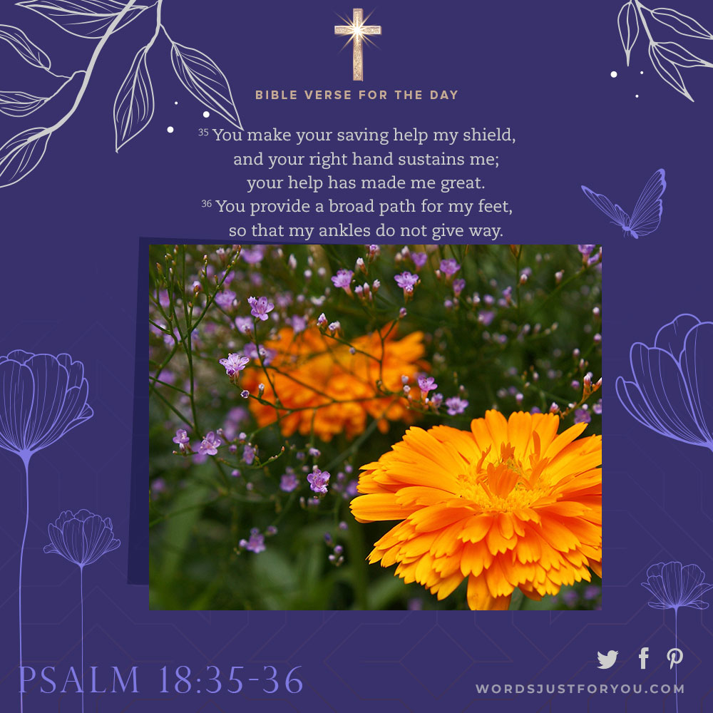 Bible Verse For The Day