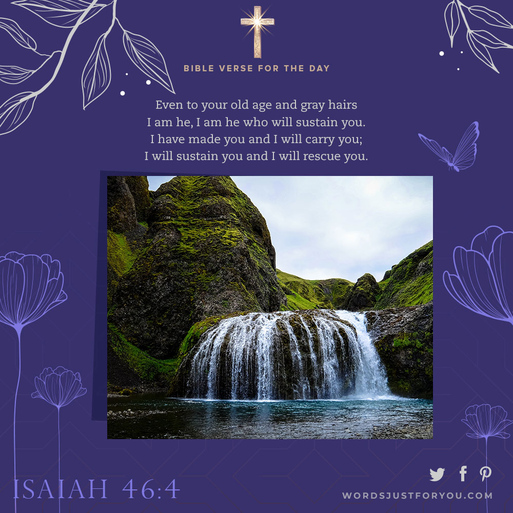 Bible Verse For The Day