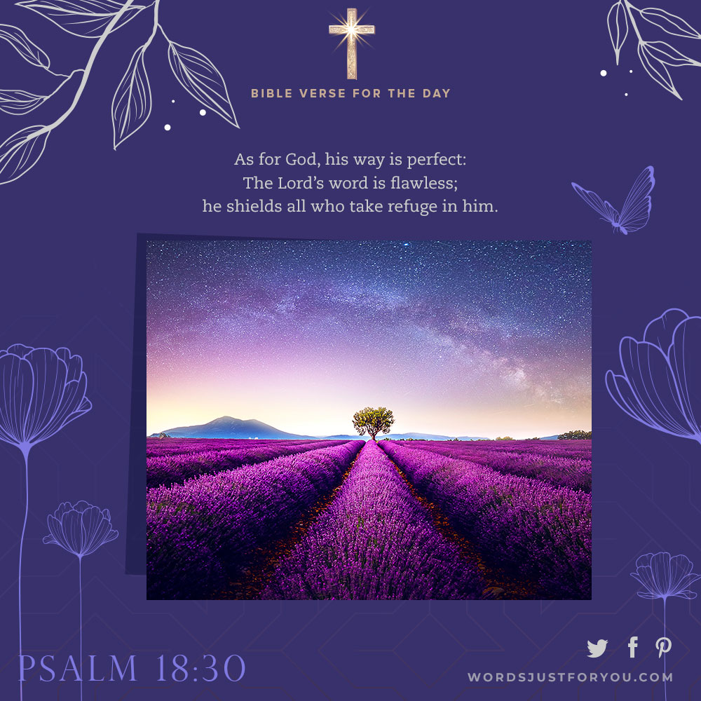 Bible Verse For The Day
