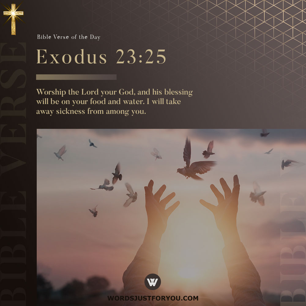 100+ Daily Bible Verses 29