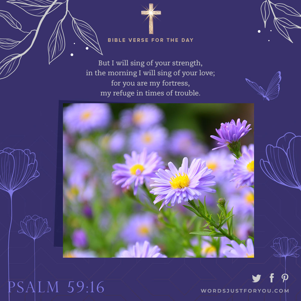 Bible Verse For The Day