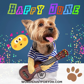 Happy June Gif