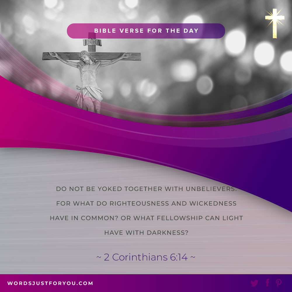 100+ Daily Bible Verses 21